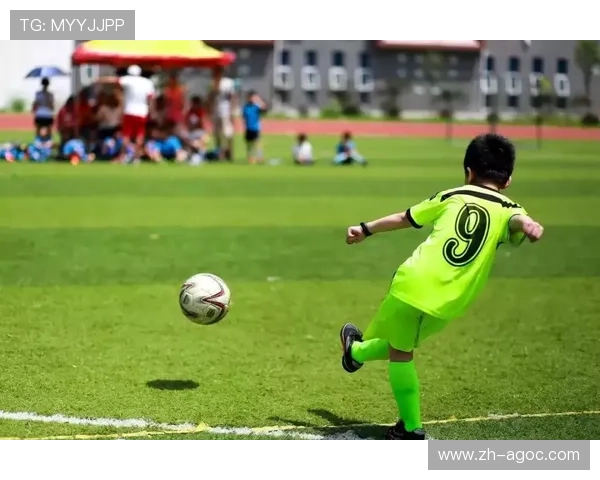 法甲年度赛事回顾及体育竞技表现总结